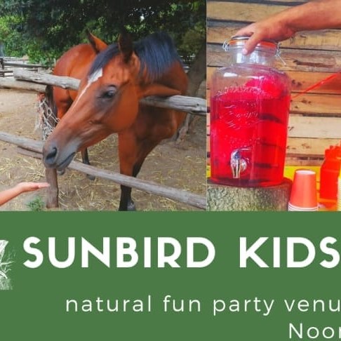 Sunbird Kids Party Venue